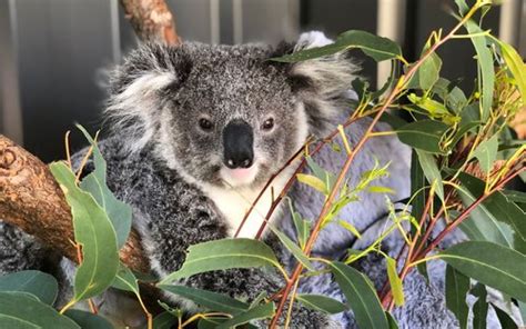 Best Nelson Bay Tours, Australia 2026