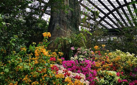 Prof Creates A Butterfly Garden On His Terrace & It Has 15 Species Of ...