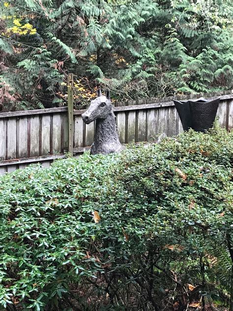 The Big Rock Garden Sculpture Park Walk – Bellingham Walks