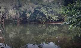 Ashram and Akhada at Bhavnath, Girnar, Junagadh| Pravase