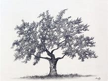 tutorial how to draw fruit dish
