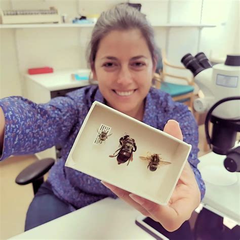 This Fossilised Wasp Discovery is 16 Million Years in the Making ...