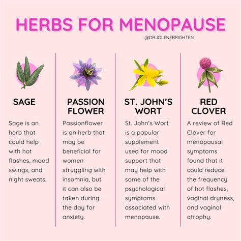 Connection Between Gut Health, Hormones, and Menopause - Dr. Jolene Brighten