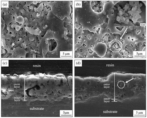 Unveiling the Effect of Particle Incorporation in PEO Coatings on the ...