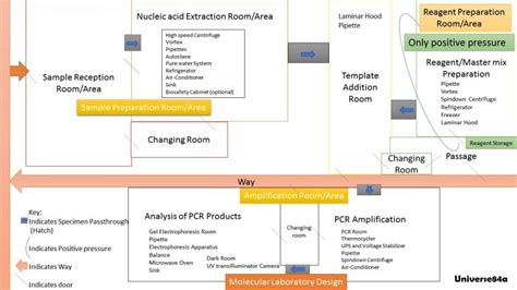 PCR Lab Setup 的图像结果