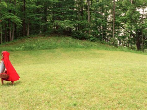 Dread & Delight | Meer