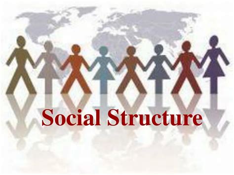 Social Structure 的图像结果