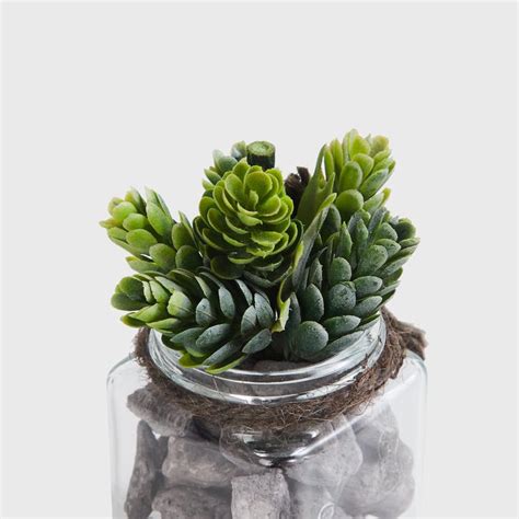 Buy Corsica Eden Artificial Plant in Glass Jar from Corsica by Home ...