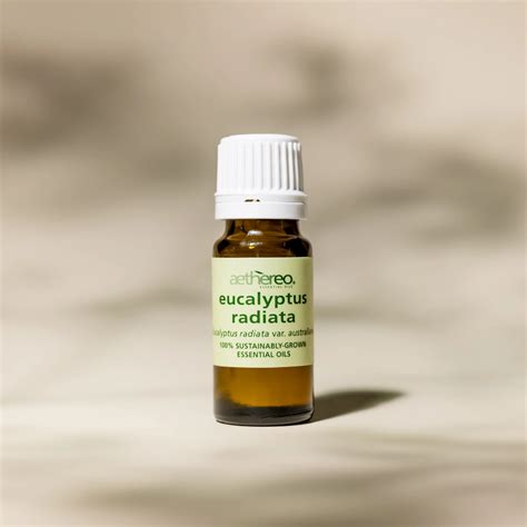 EUCALYPTUS RADIATA Essential Oil - Plant Extracts International