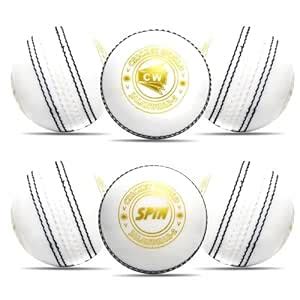 CW Spin Practice Cricket Balls Poly Soft PVC Ball Boy Adult Twin Color ...