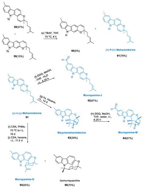 Total Synthesis of Terpenes and Their Biological Significance: A ...