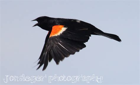 Image result for Order Status