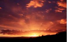 Sunset Orange Sky Wallpaper by Orange Sky Wallpaper 1920x1200 Sunset Orange Sky Wallpaper