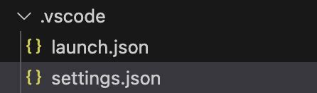Setting JSON CMake Vscode 的图像结果