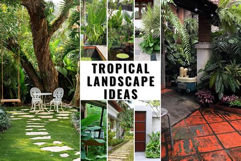 28 Tropical Landscape Ideas for Stunning Front Yards, Backyards, and ...