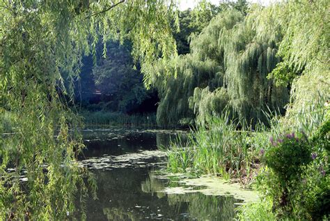 Image result for Swamp Bogging