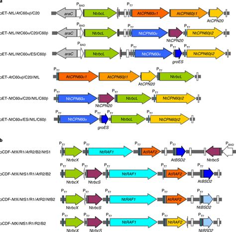 Pcdf Vector 的图像结果