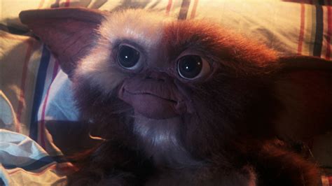 Image result for Gremlins Computer