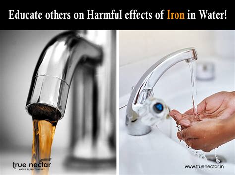 Solving the Water Crisis in Kerala! - Things you must know? - True Nectar