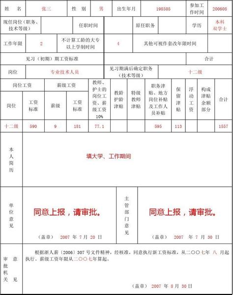 事业单位新聘用人员转正定级审批表_word文档免费下载_文档大全