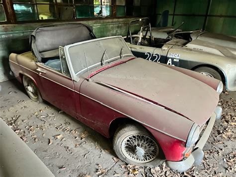 Auction By Pearce | Global Asset Solutions