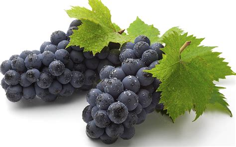 [200+] Grape Wallpapers | Wallpapers.com