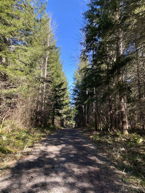 Nisqually State Park — Washington Trails Association