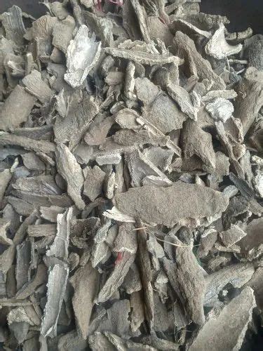 Samridhi Herbs - Manufacturer of Herbal Leaves & Dry Seeds from Rudrapur