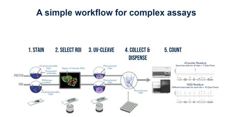 NanoString Spatial Transcriptomics 的图像结果