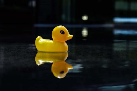 Download Yellow Rubber Ducky Reflection Wallpaper | Wallpapers.com