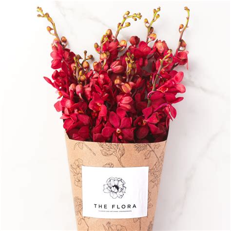 Mokara Orchids (Bunch of 9) - Buy fresh cut flowers online - The Flora