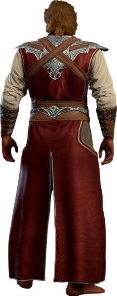 File:Sorcerer Robe Half-Elf Back Model.webp - bg3.wiki