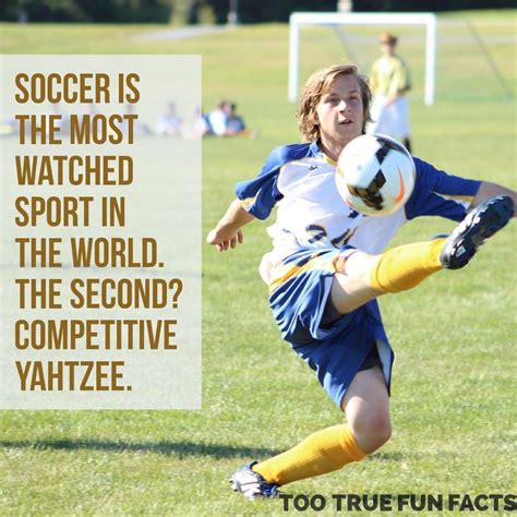 Facts About Soccer Field at Georgia Lucas blog
