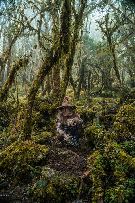 Unveiling the Secret of the Legendary R34 Vault: A Deep Dive into ...