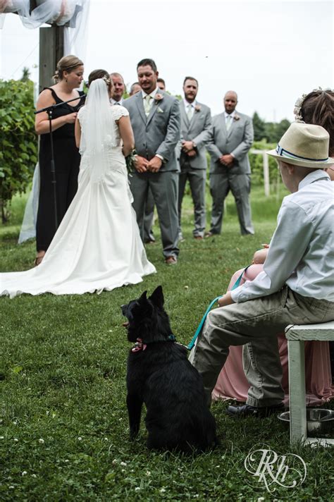 Wedding: Ally and Nick | Next Chapter Winery | Minnesota Wedding ...