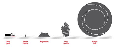 Bad Particles 的图像结果