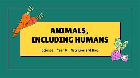 Debunking Nutrition Myths: Separating Fact from Fiction" | PPT