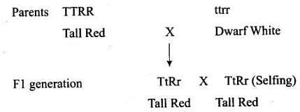 NCERT Exemplar: Principles of Inheritance and Variation - Biology Class ...