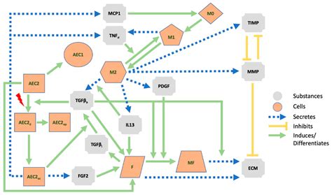 A 3D Agent-Based Model of Lung Fibrosis