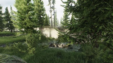 Woods Extraction : Escape From Tarkov Woods Map Guide - FNCG