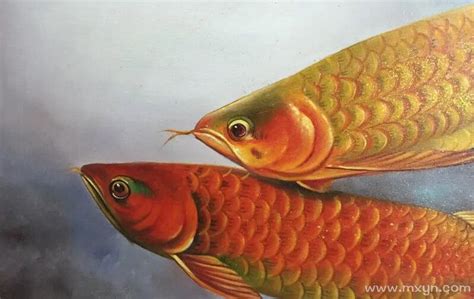 梦见鱼是什么意思 梦见鱼周公解梦查询 - 万年历