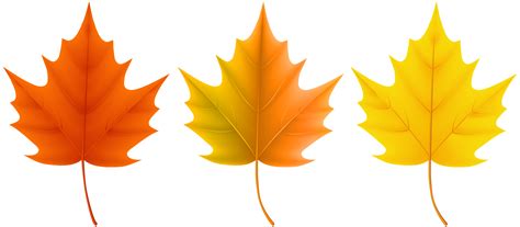 Autumn Leaves Clipart Clip Art Library Png Maple Leaf - vrogue.co