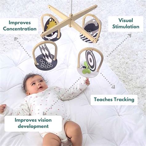 Montessori Box-0 Months + – Curious Cub