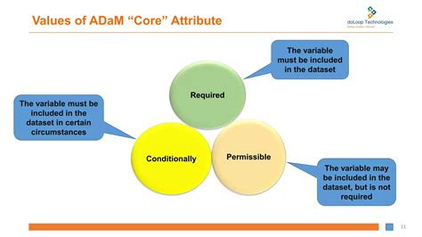 Image result for Adam Programming