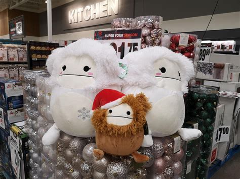 OMG! I found Ever! : r/squishmallow