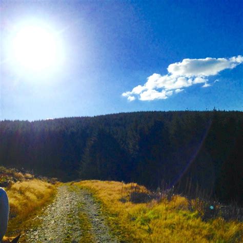 THE 10 BEST Places to Visit in Lampeter (2026) - Must-See Attractions