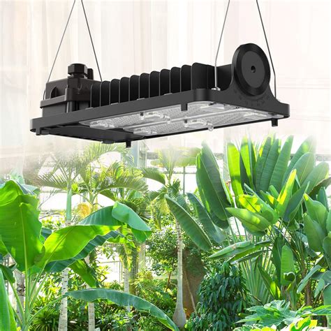 Buy SANSI LED Grow Light for Indoor Plants, 1000W Equiv. 2x4ft Coverage ...