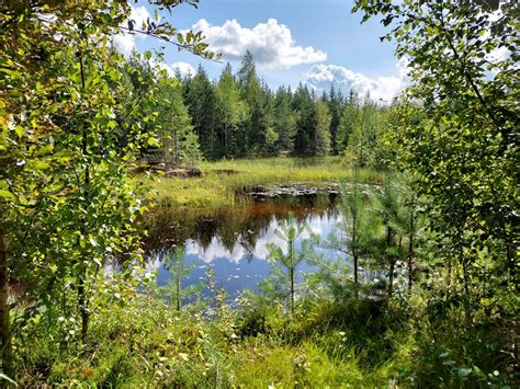 芬兰 的图像结果