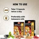 Dabur Shilajit Gold for Strength, Stamina & Power, 20 Caps Price in ...