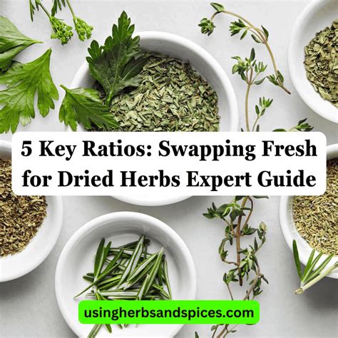 5 Key Ratios: Swapping Fresh for Dried Herbs Expert Guide - Using Herbs & Spices